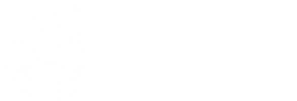 KNAITO Film and Media